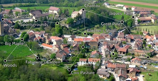 A network of crow nests in a small village